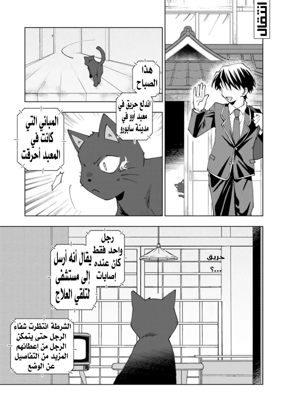 Chapter Image 8
