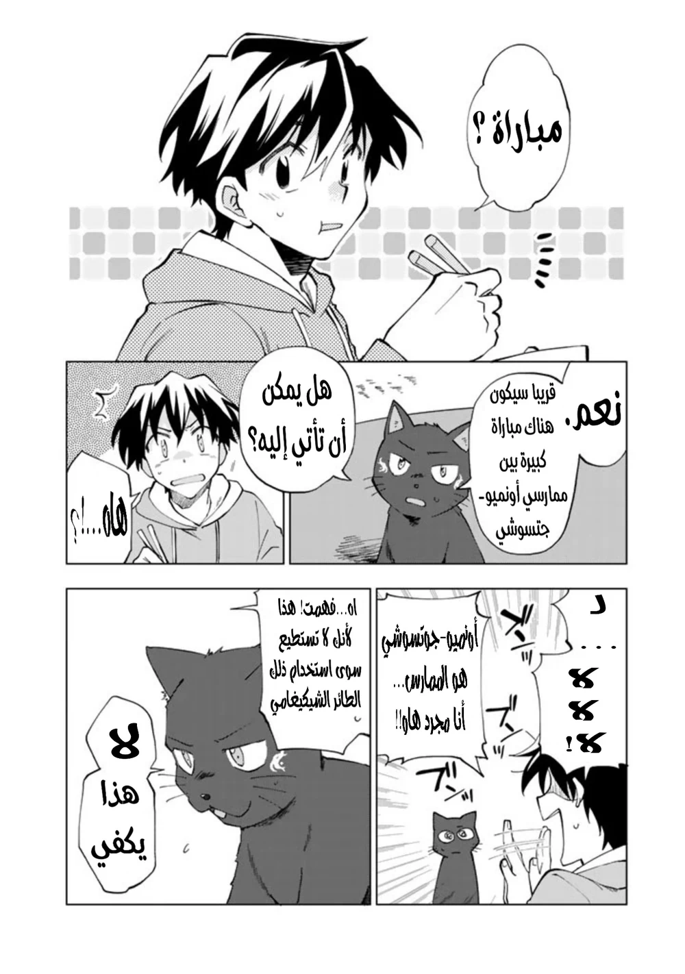 Chapter Image 14