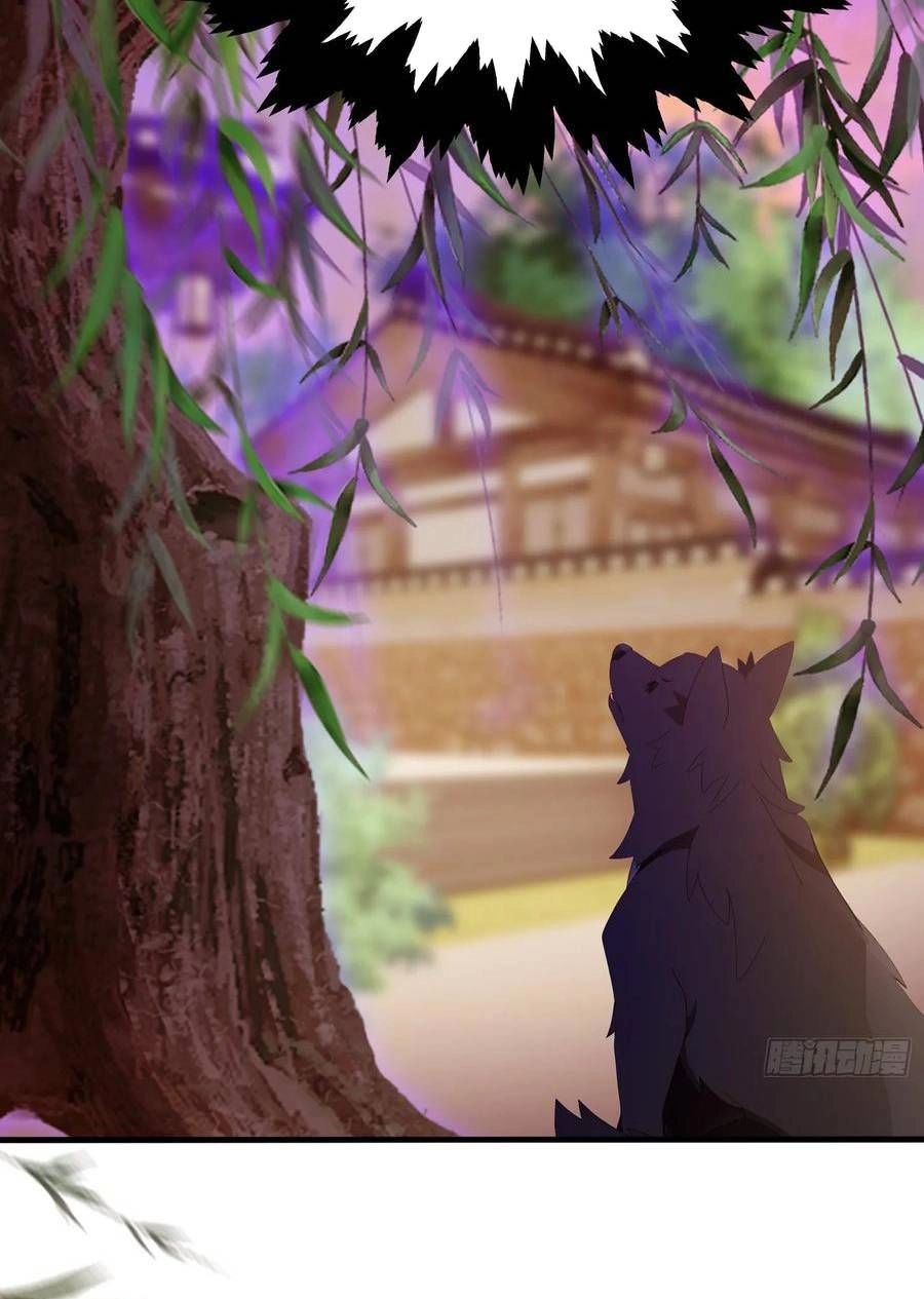 Chapter Image 2