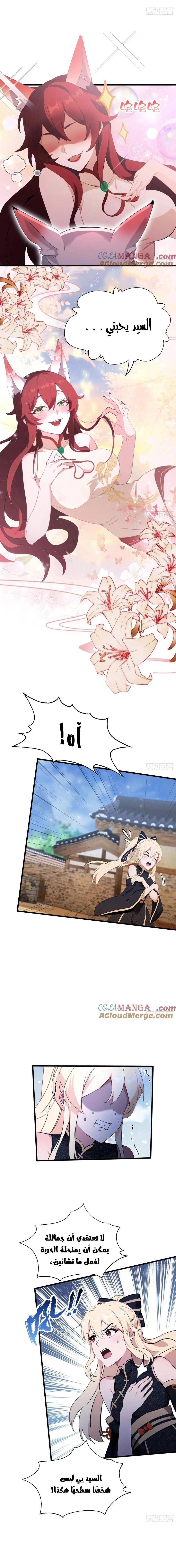 Chapter Image 5