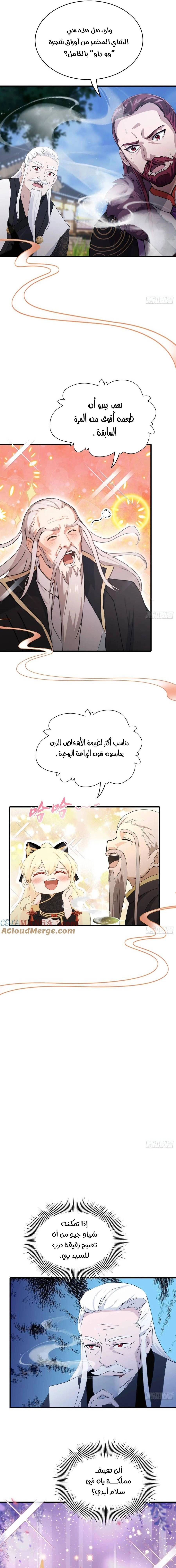 Chapter Image 7