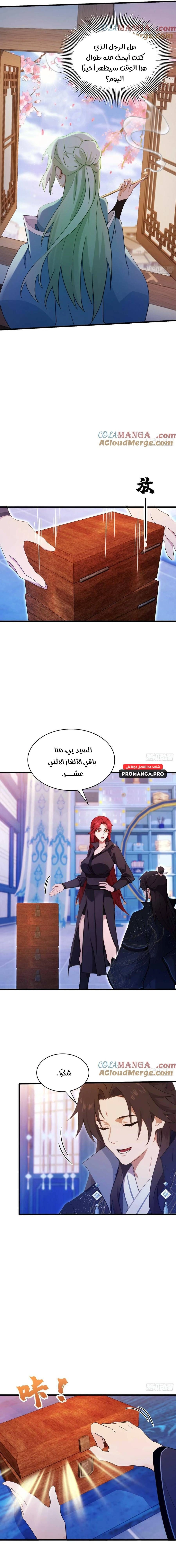 Chapter Image 5