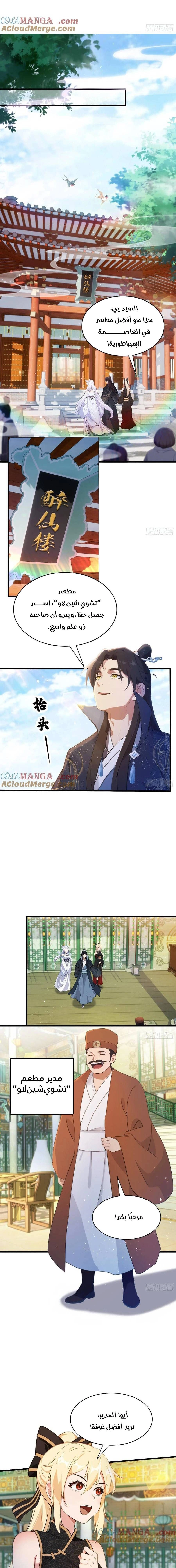 Chapter Image 7