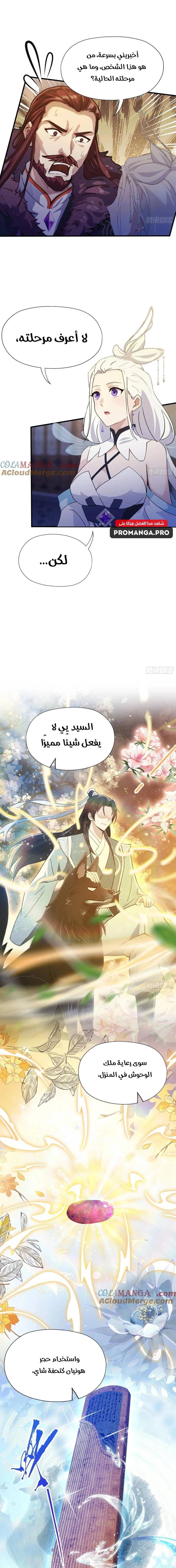 Chapter Image 11