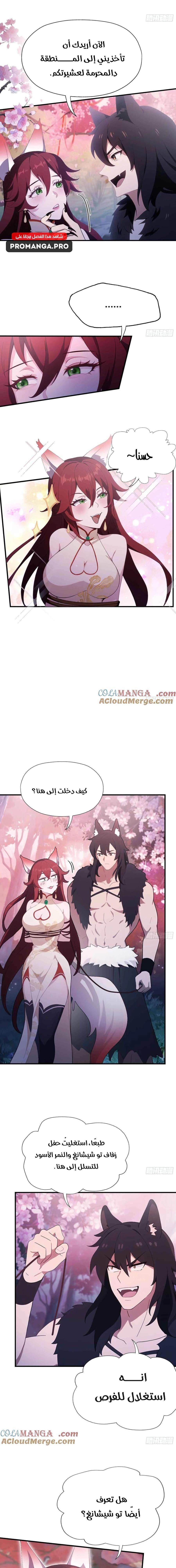 Chapter Image 11