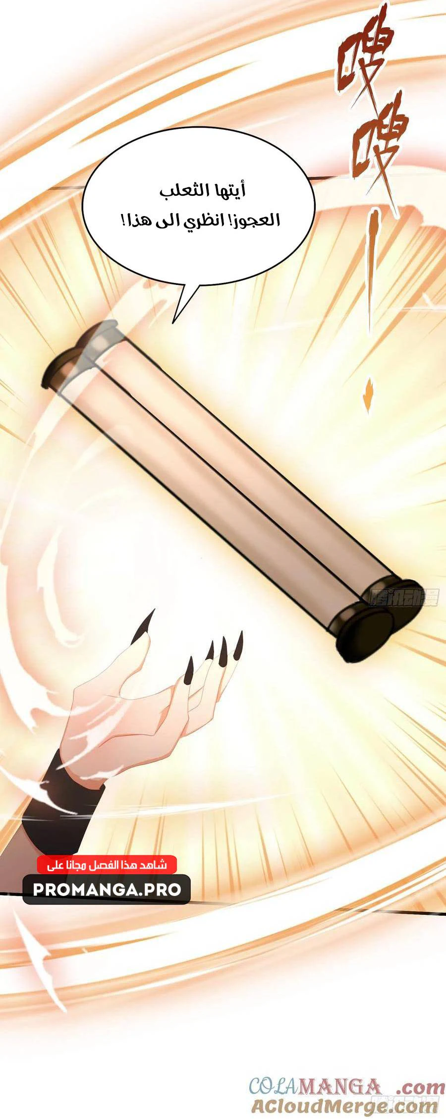 Chapter Image 11