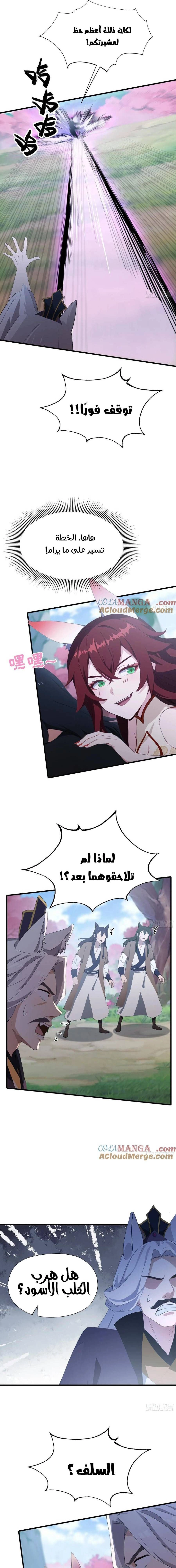 Chapter Image 7