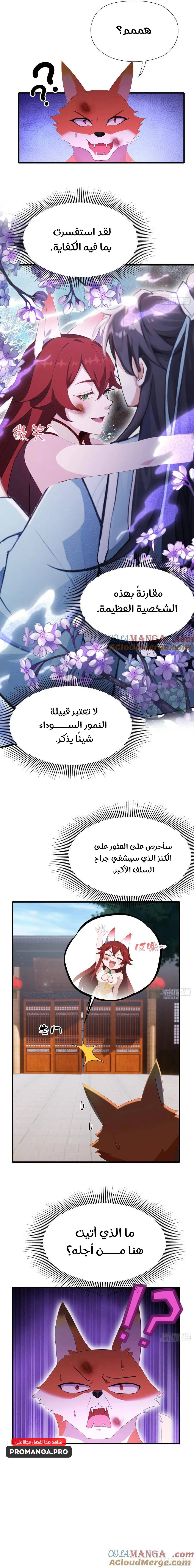 Chapter Image 13