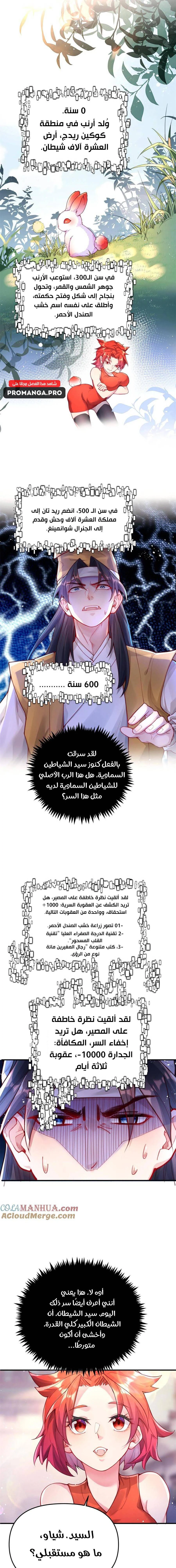 Chapter Image 17