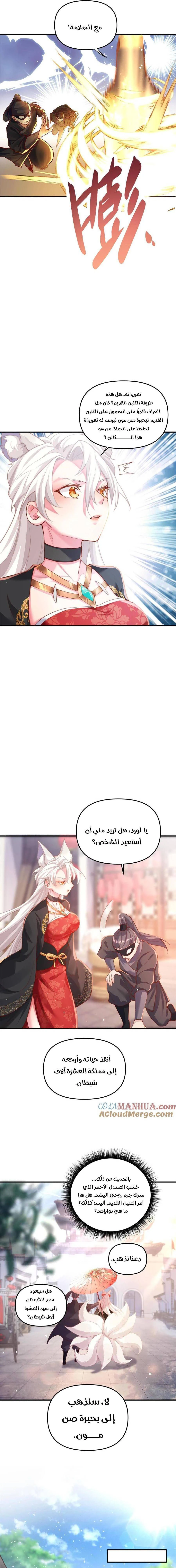Chapter Image 13