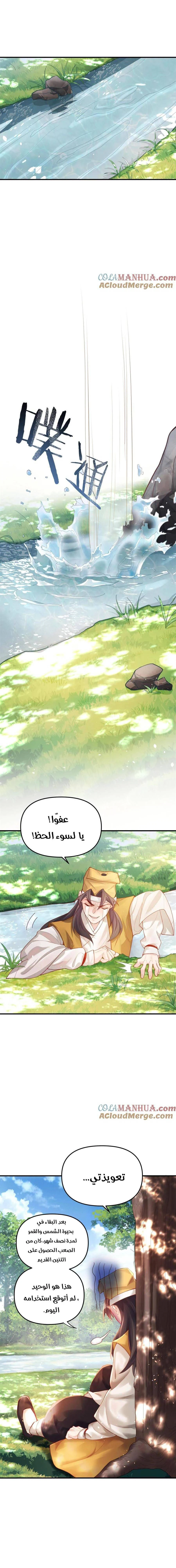 Chapter Image 15