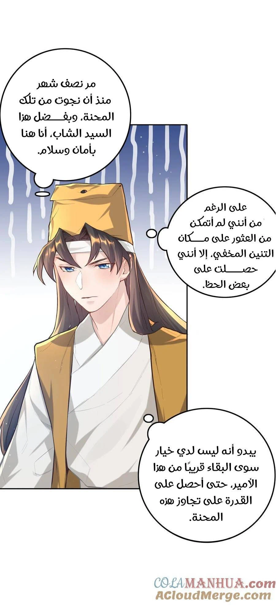 Chapter Image 6