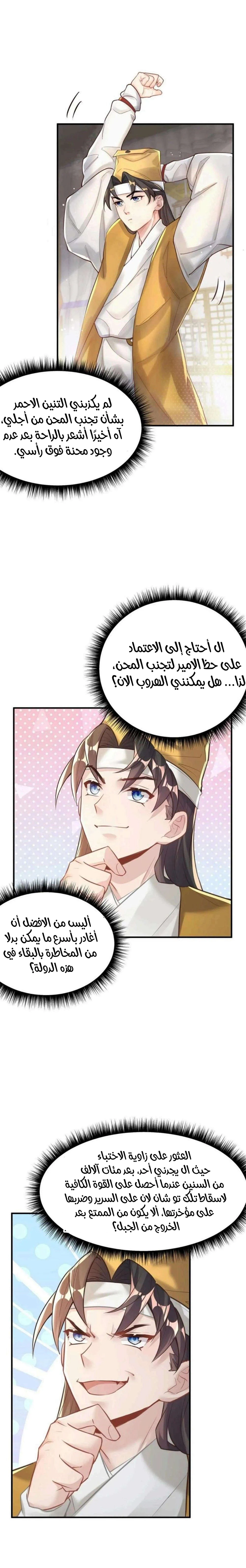 Chapter Image 11