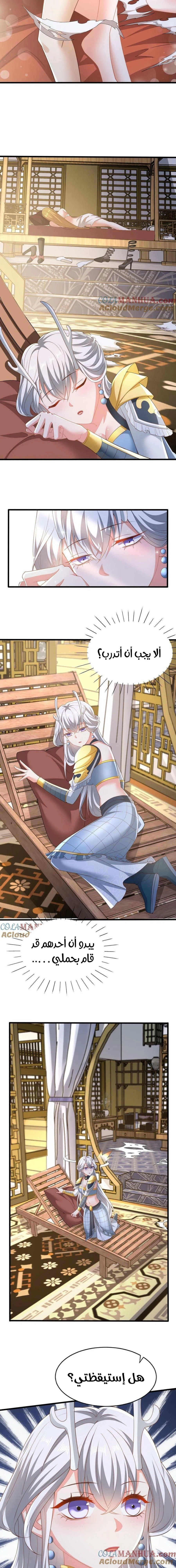 Chapter Image 5
