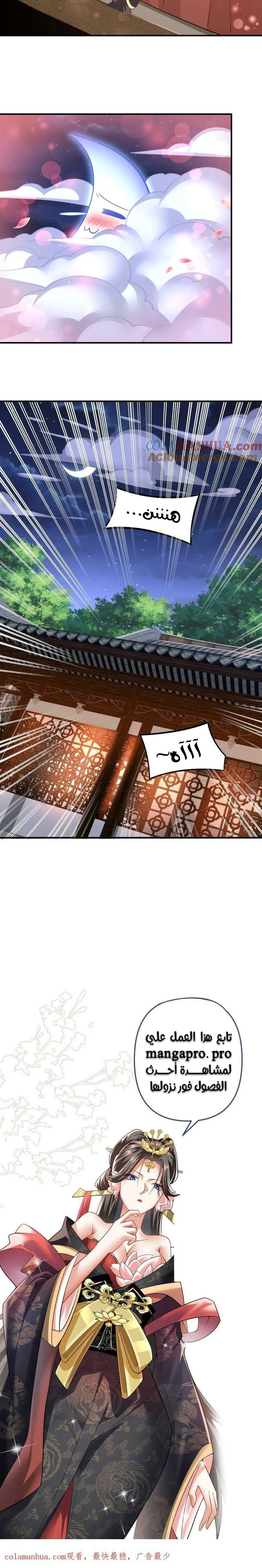 Chapter Image 11