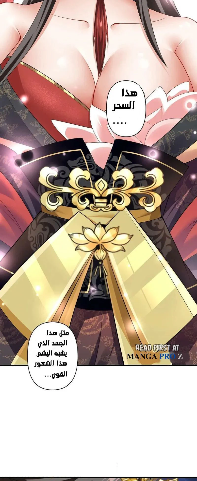 Chapter Image 5