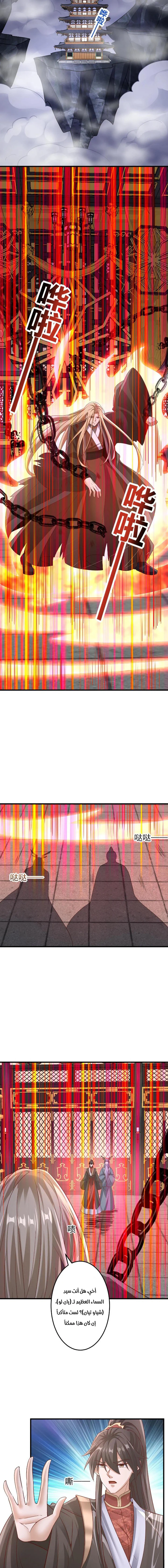 Chapter Image 5