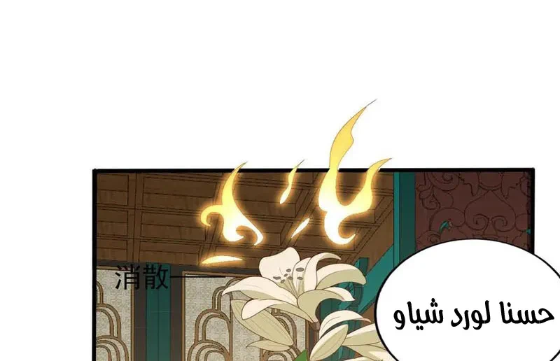 Chapter Image 33