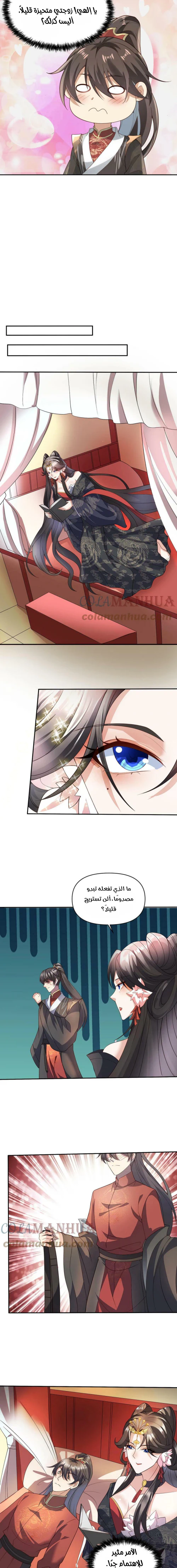 Chapter Image 3
