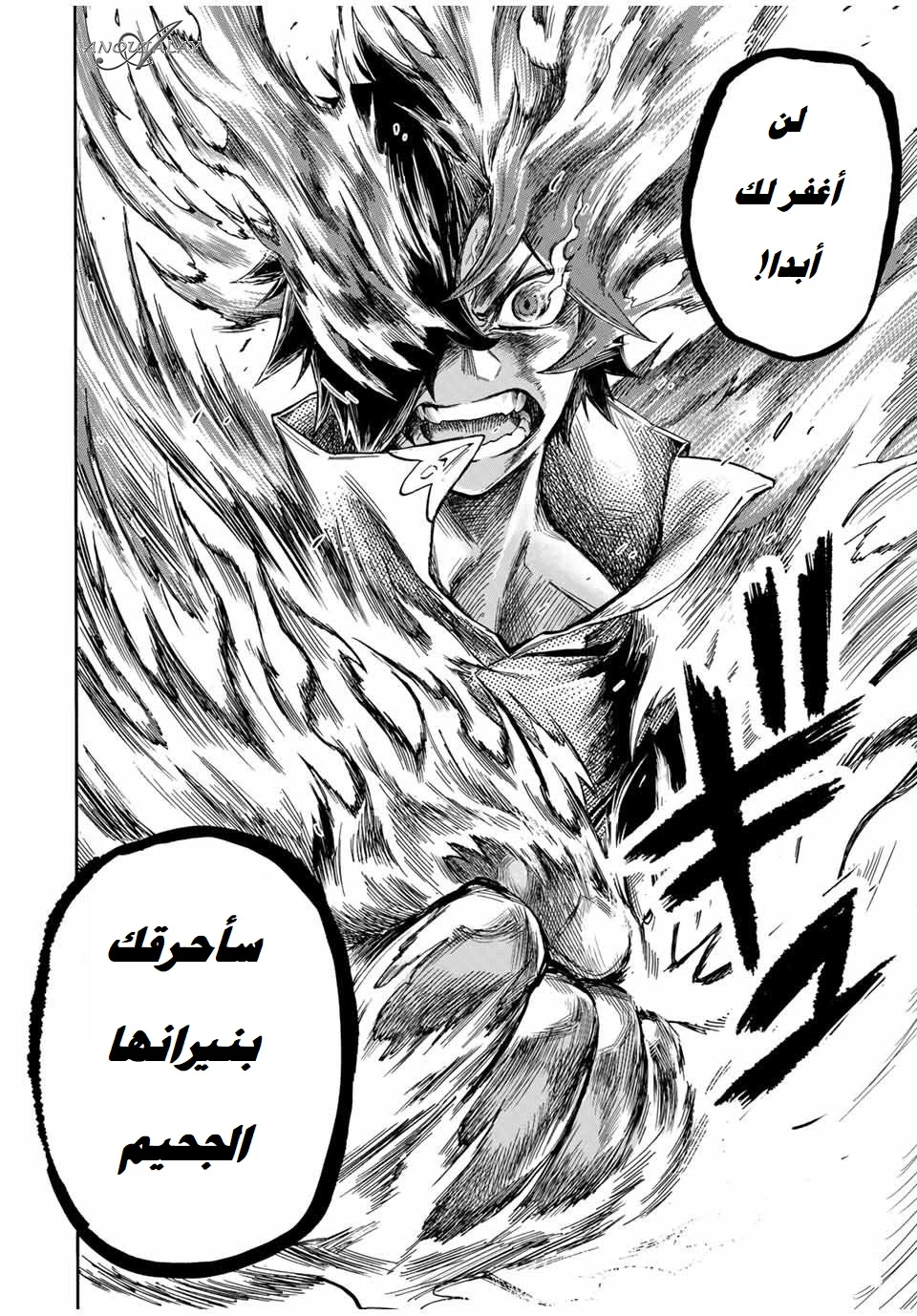 Chapter Image 13