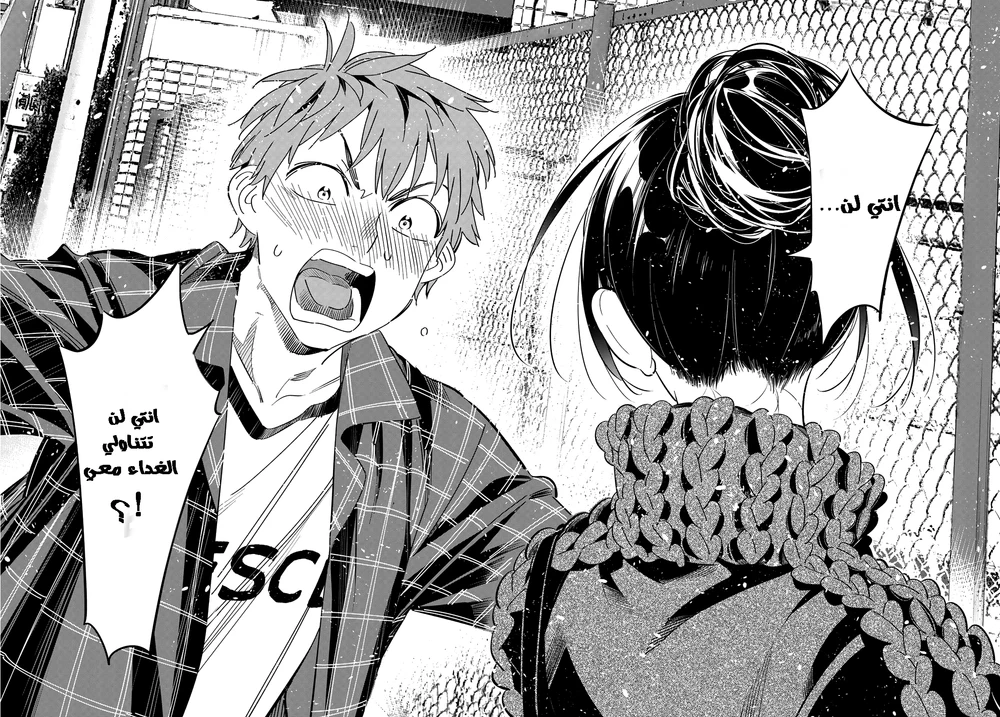 Chapter Image 17