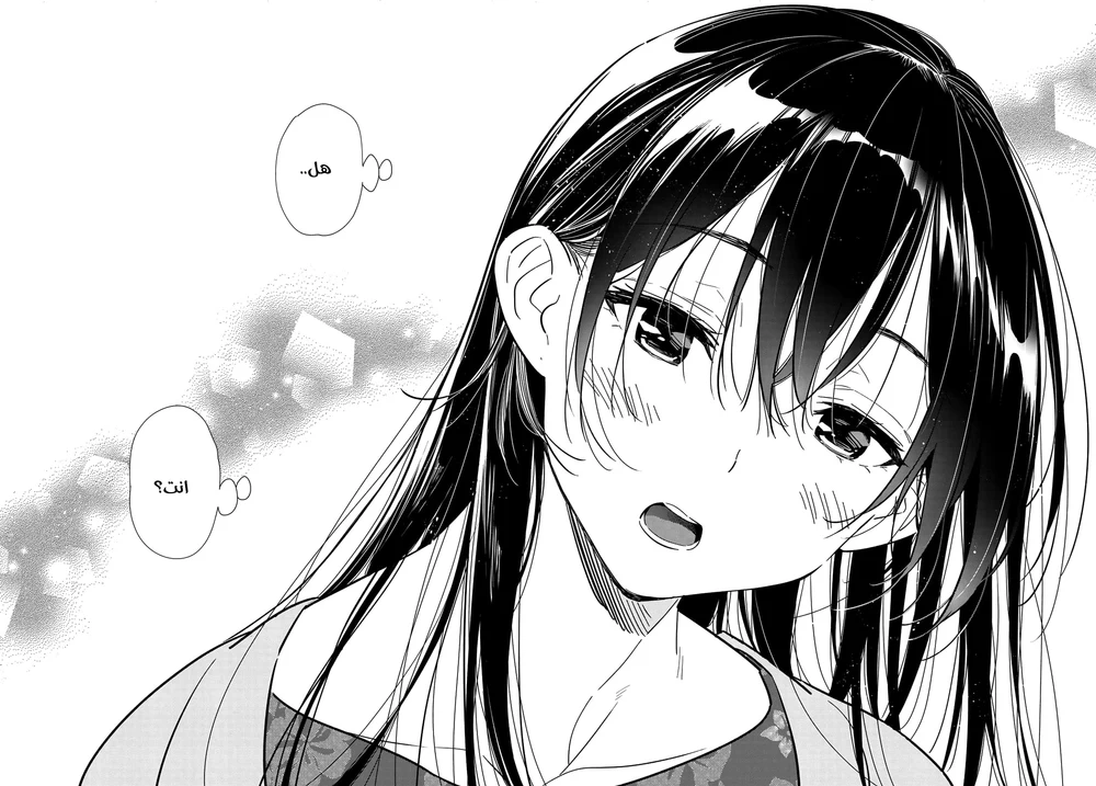 Chapter Image 17