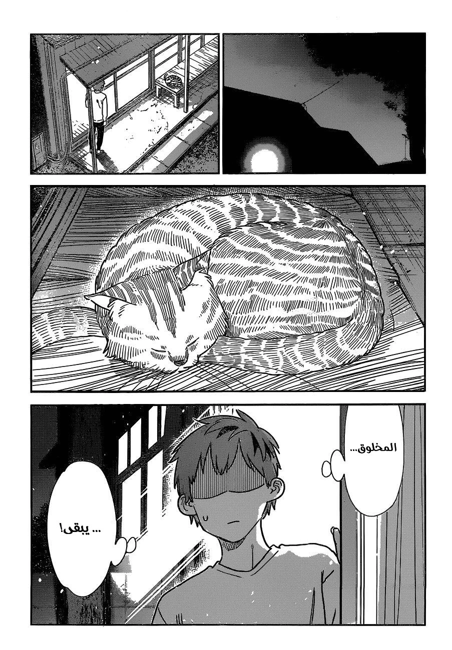 Chapter Image 14