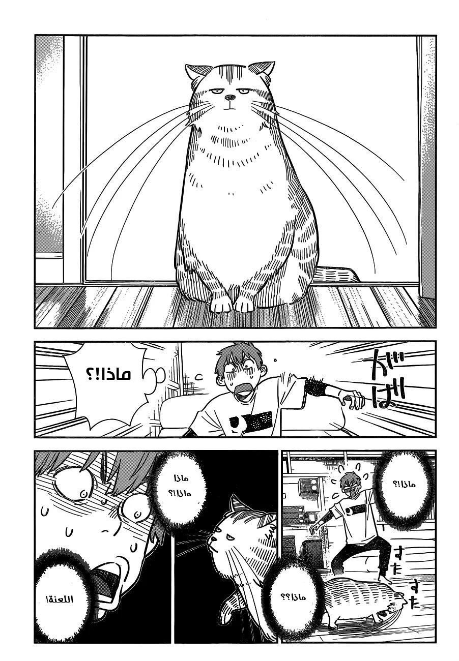 Chapter Image 8