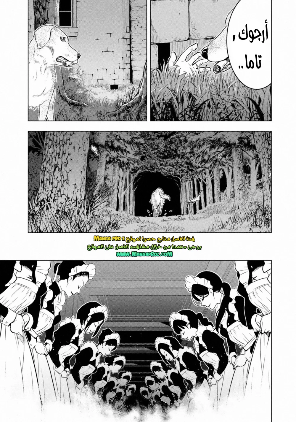 Chapter Image 9