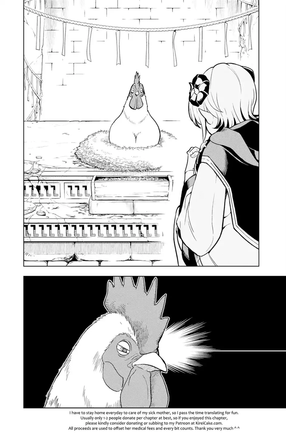 Chapter Image 12