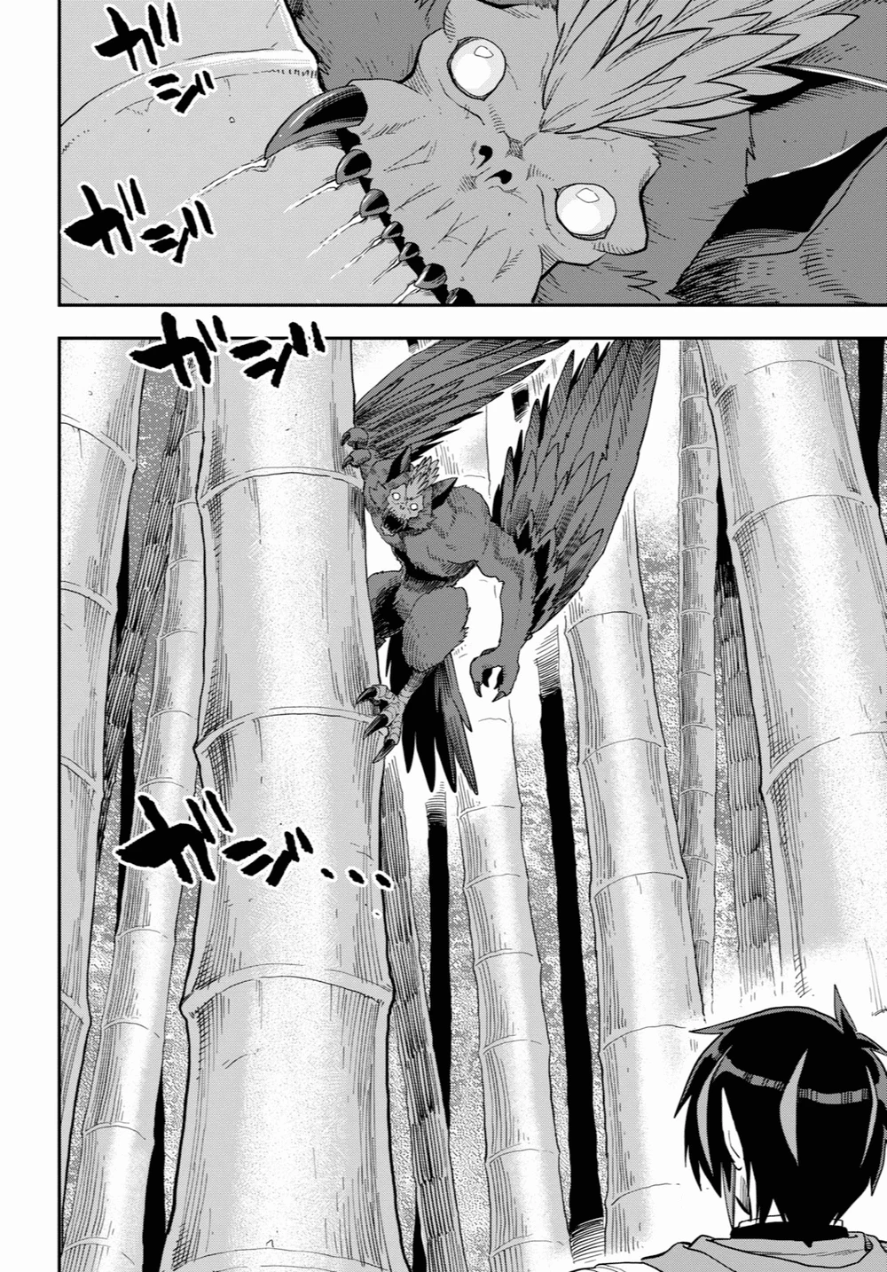 Chapter Image 5