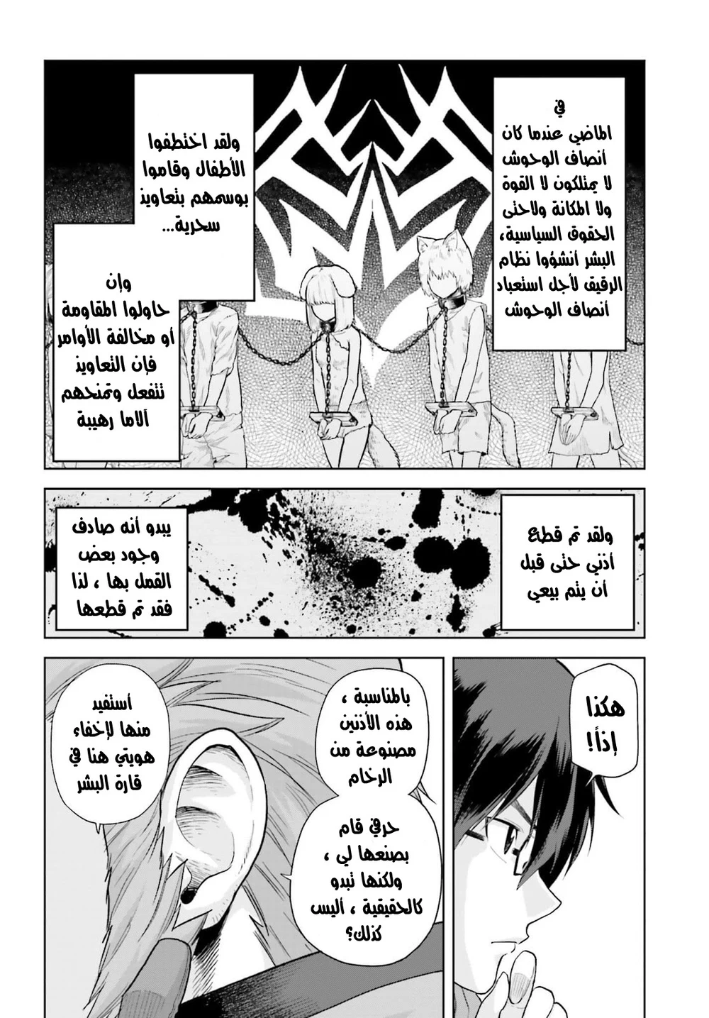 Chapter Image 17