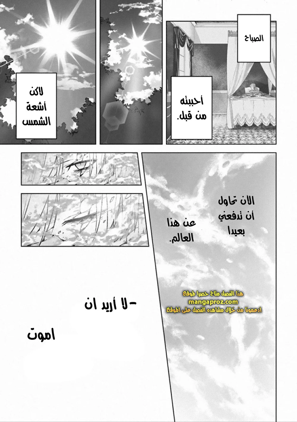 Chapter Image 13