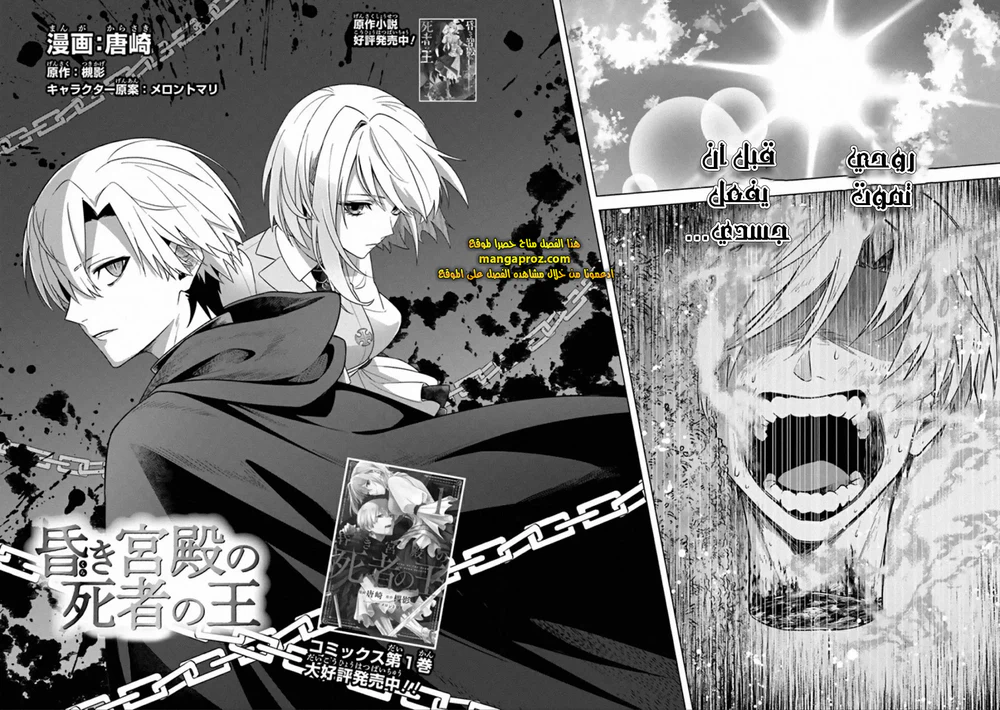 Chapter Image 5