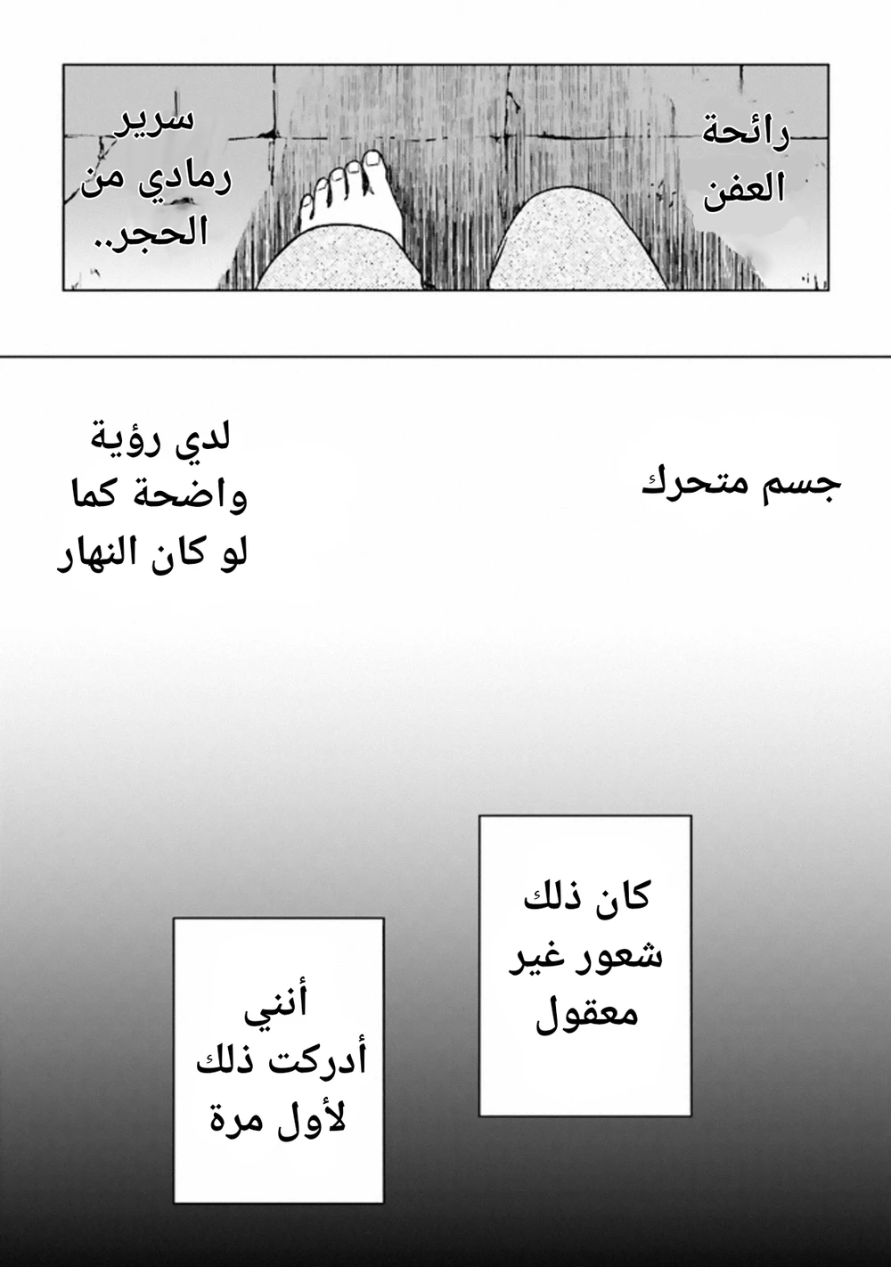 Chapter Image 12