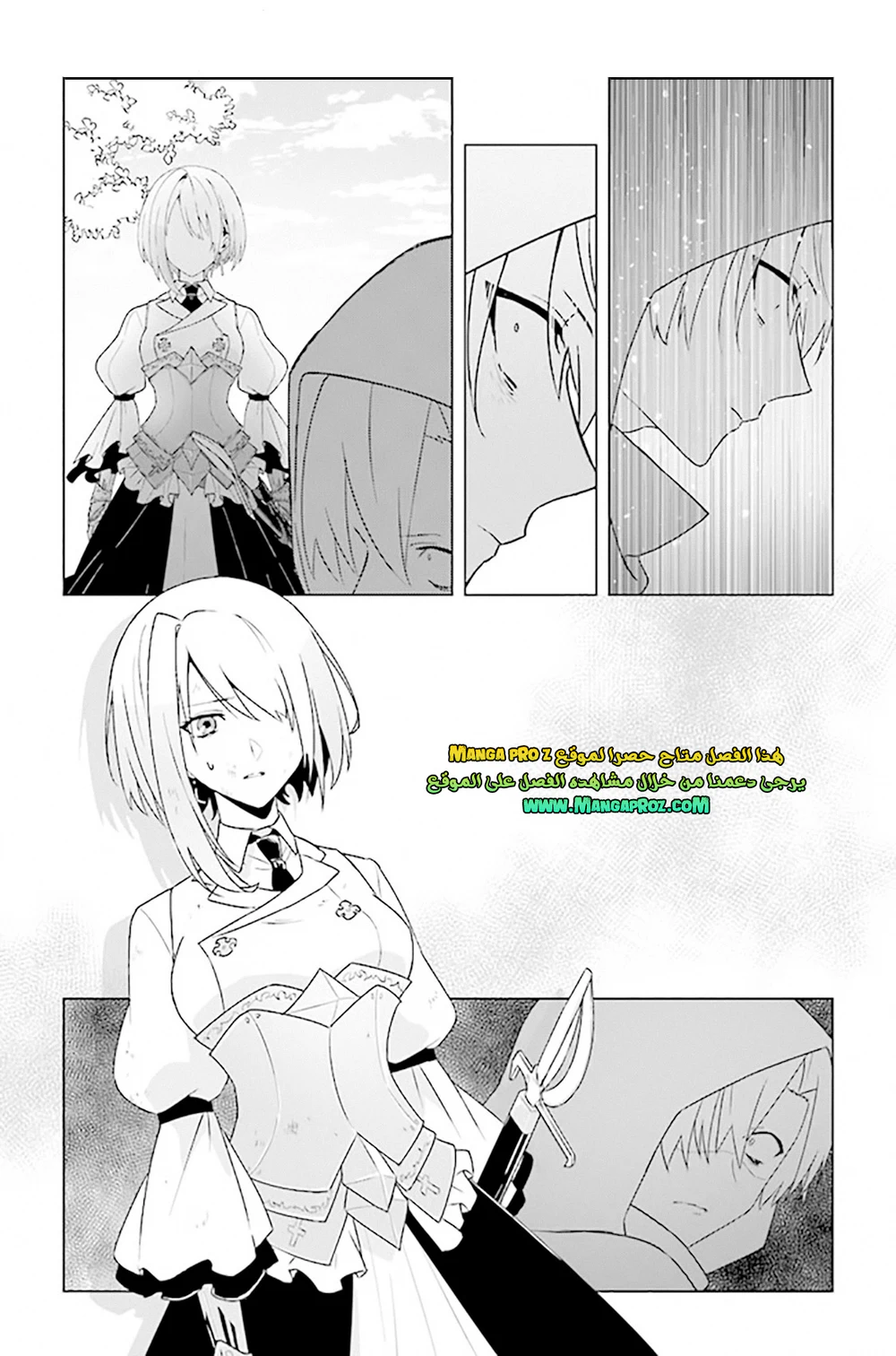 Chapter Image 17