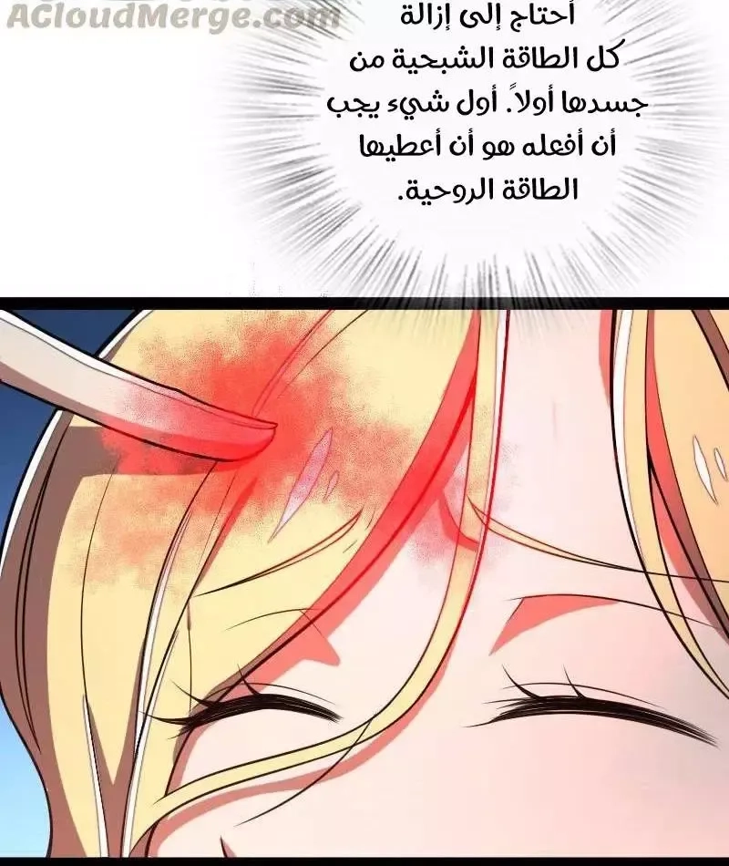 Chapter Image 12