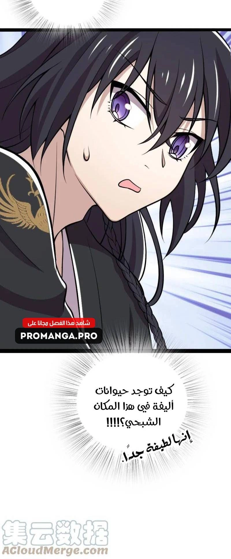 Chapter Image 15