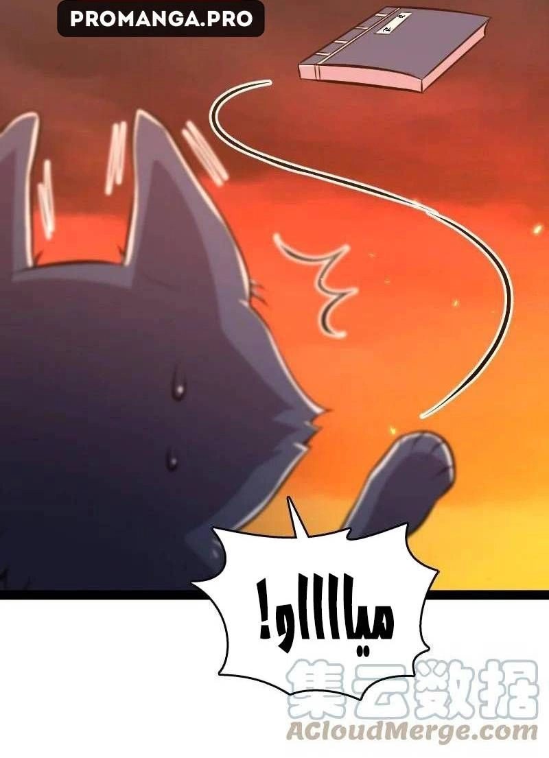 Chapter Image 8