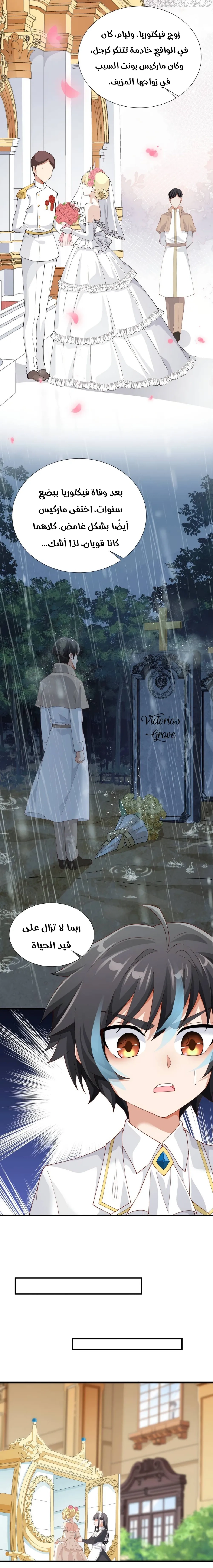 Chapter Image 15
