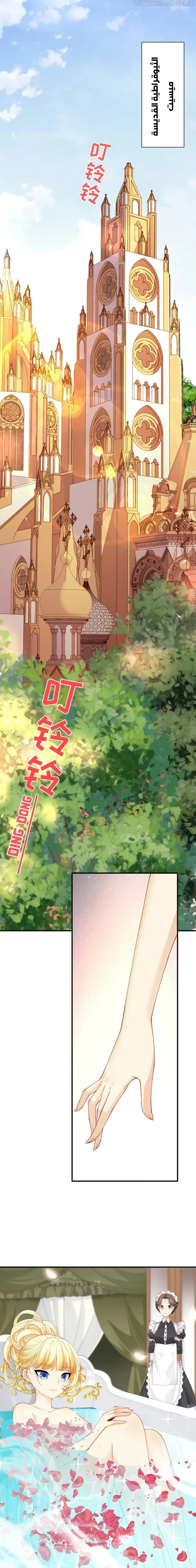 Chapter Image 2