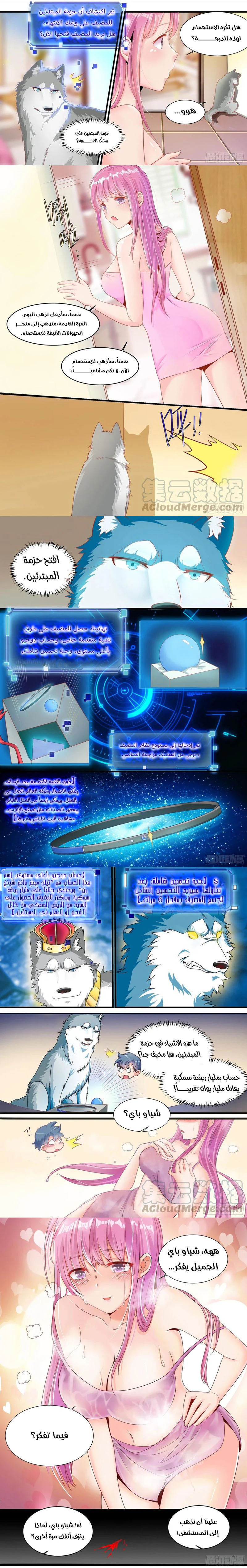 Chapter Image 3