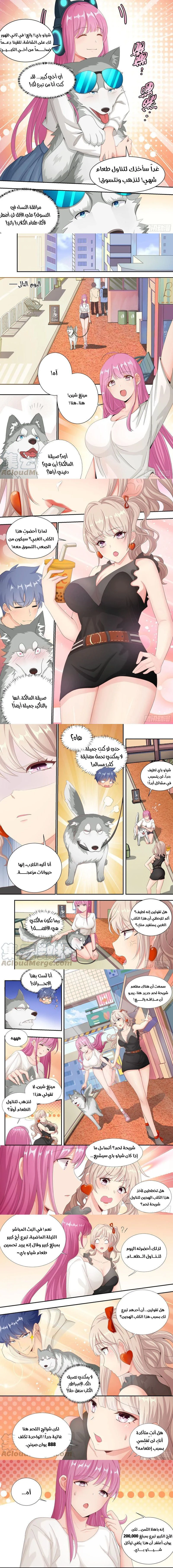 Chapter Image 2