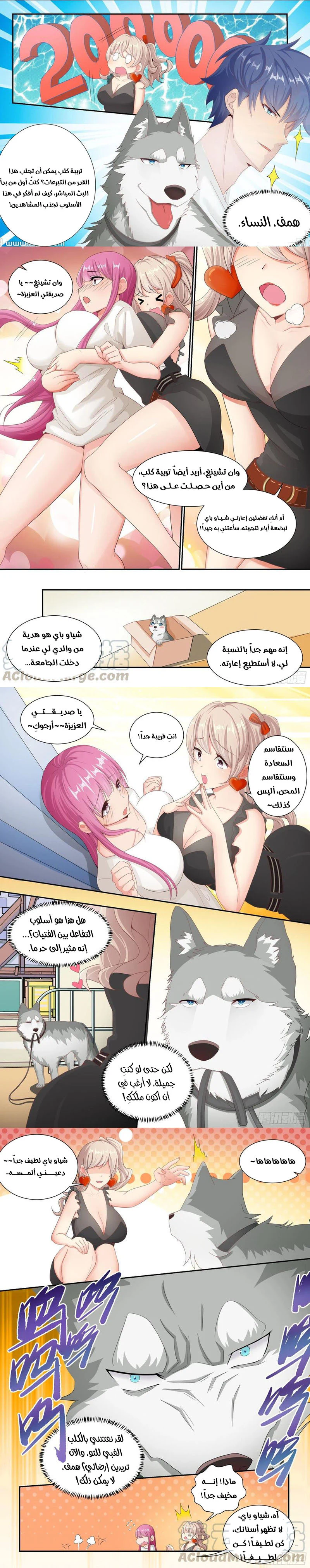 Chapter Image 3