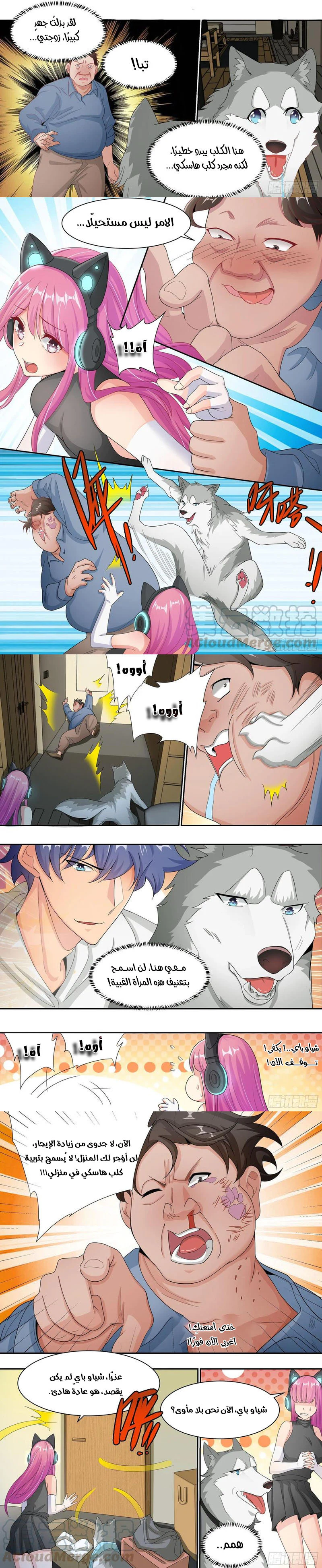 Chapter Image 3
