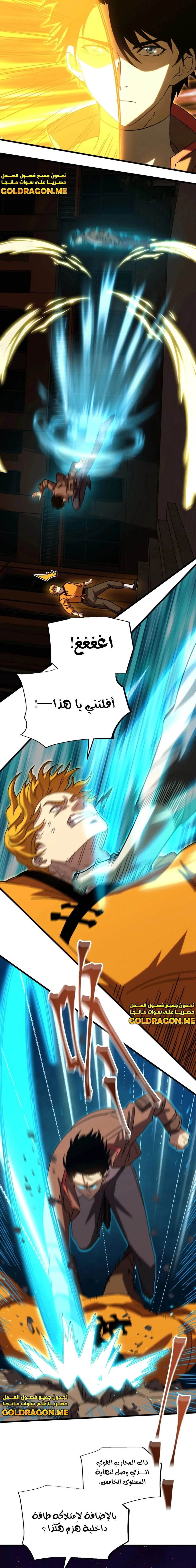 Chapter Image 5