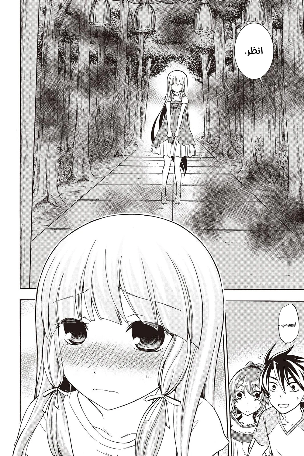 Chapter Image 9