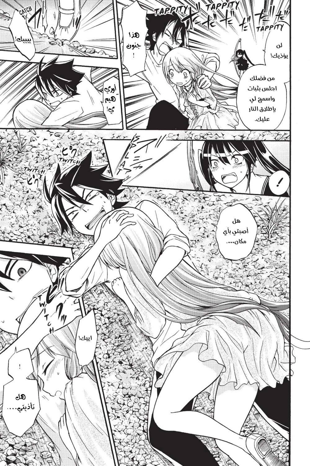 Chapter Image 11