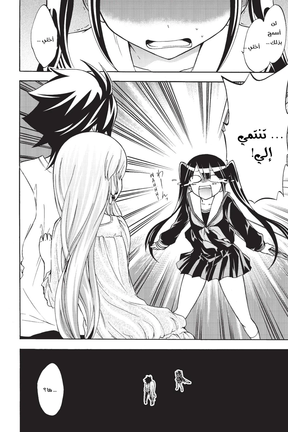 Chapter Image 2