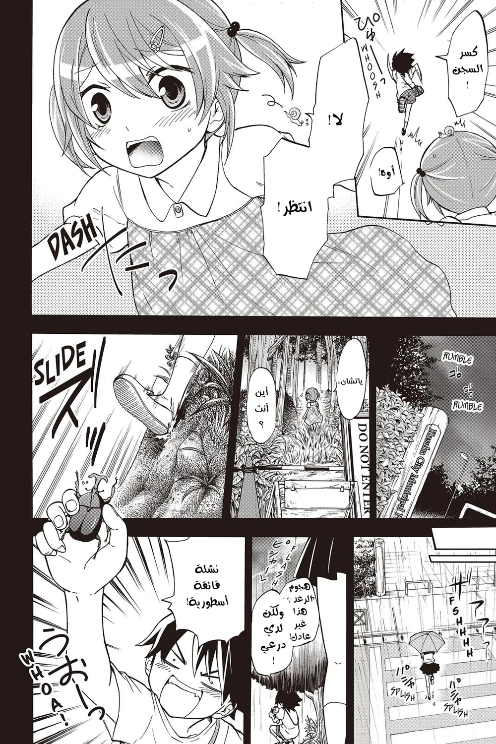 Chapter Image 2